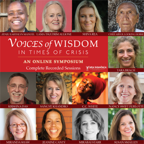 Voices of Wisdom Online Symposium